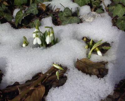 Прикрепленное изображение: DSC0000061-resize_cr.jpg